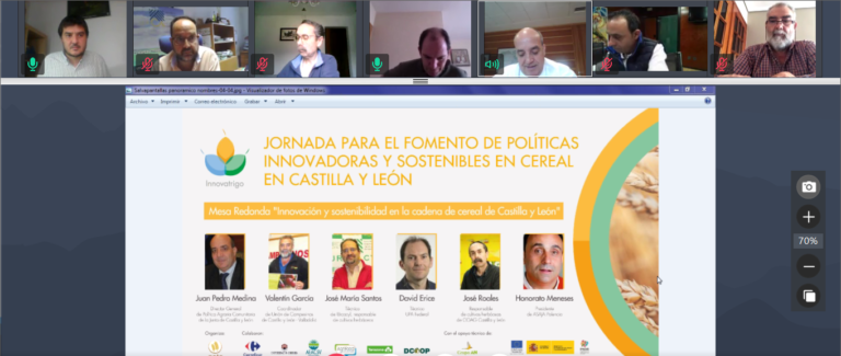Primera jornada online para el fomento de políticas innovadoras y sostenibles en cereal en Castilla y León